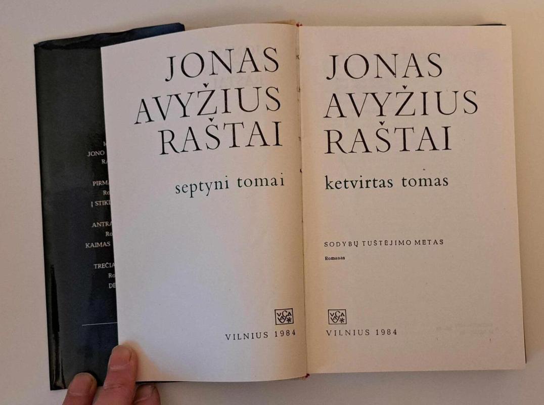 Raštai. Ketvirtasis tomas - Jonas Avyžius, knyga 4