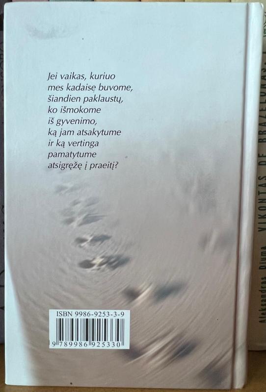 Palikę užuovėją - Richard Bach, knyga 3