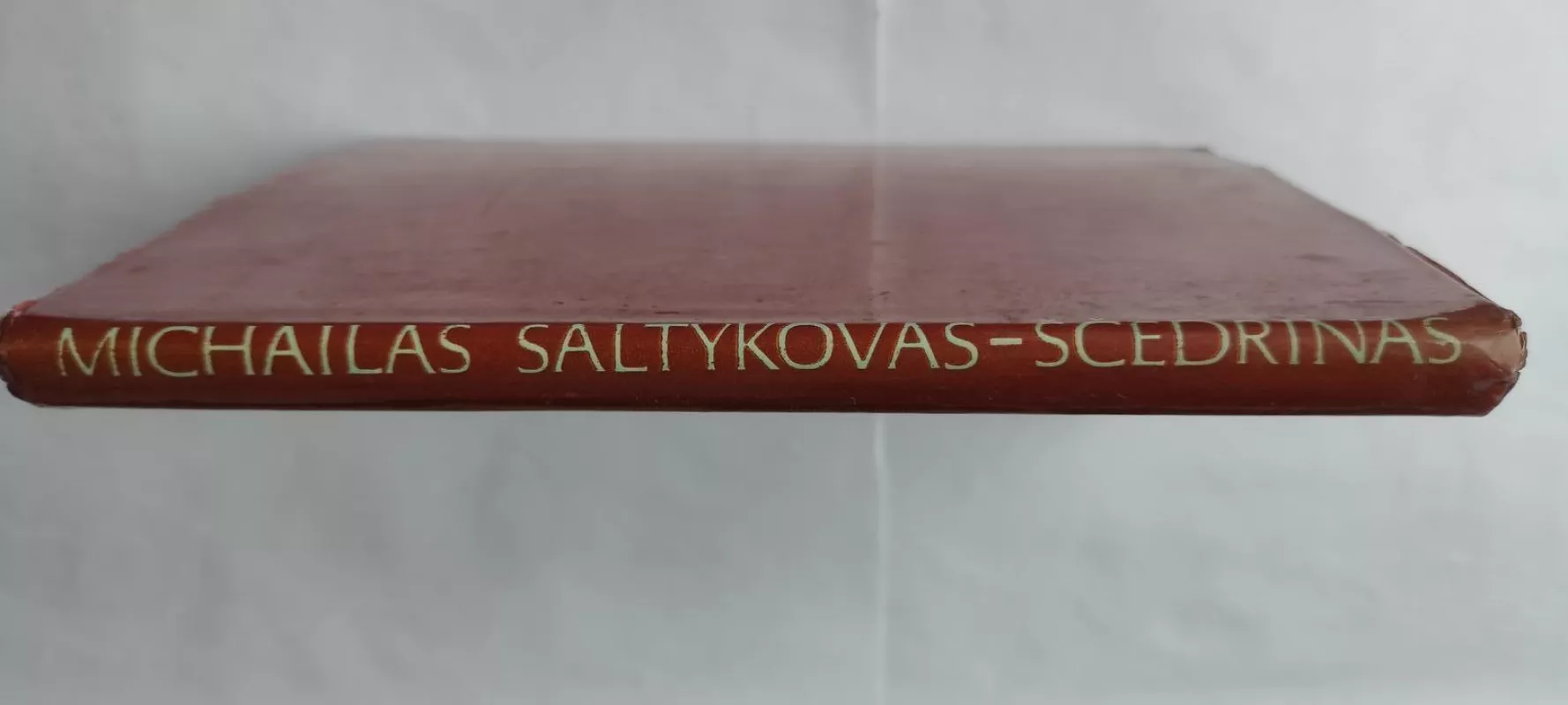 Šešėliai - Michailas Saltykovas-Ščedrinas, knyga 3