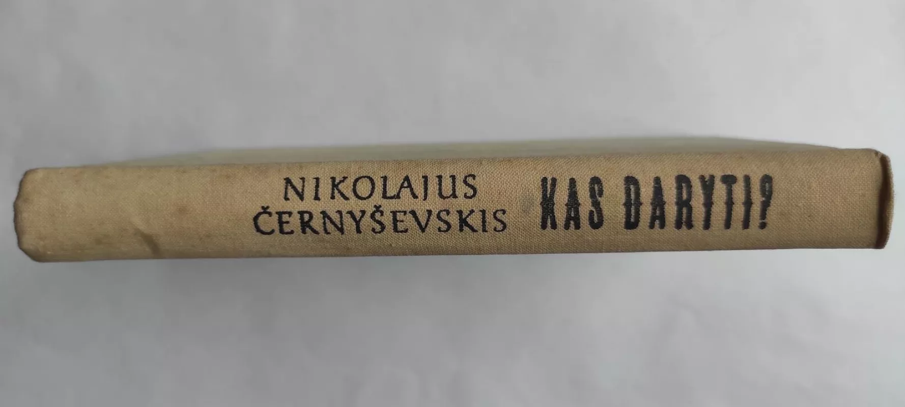 Kas daryti? - Nikolajus Černyševskis, knyga 3