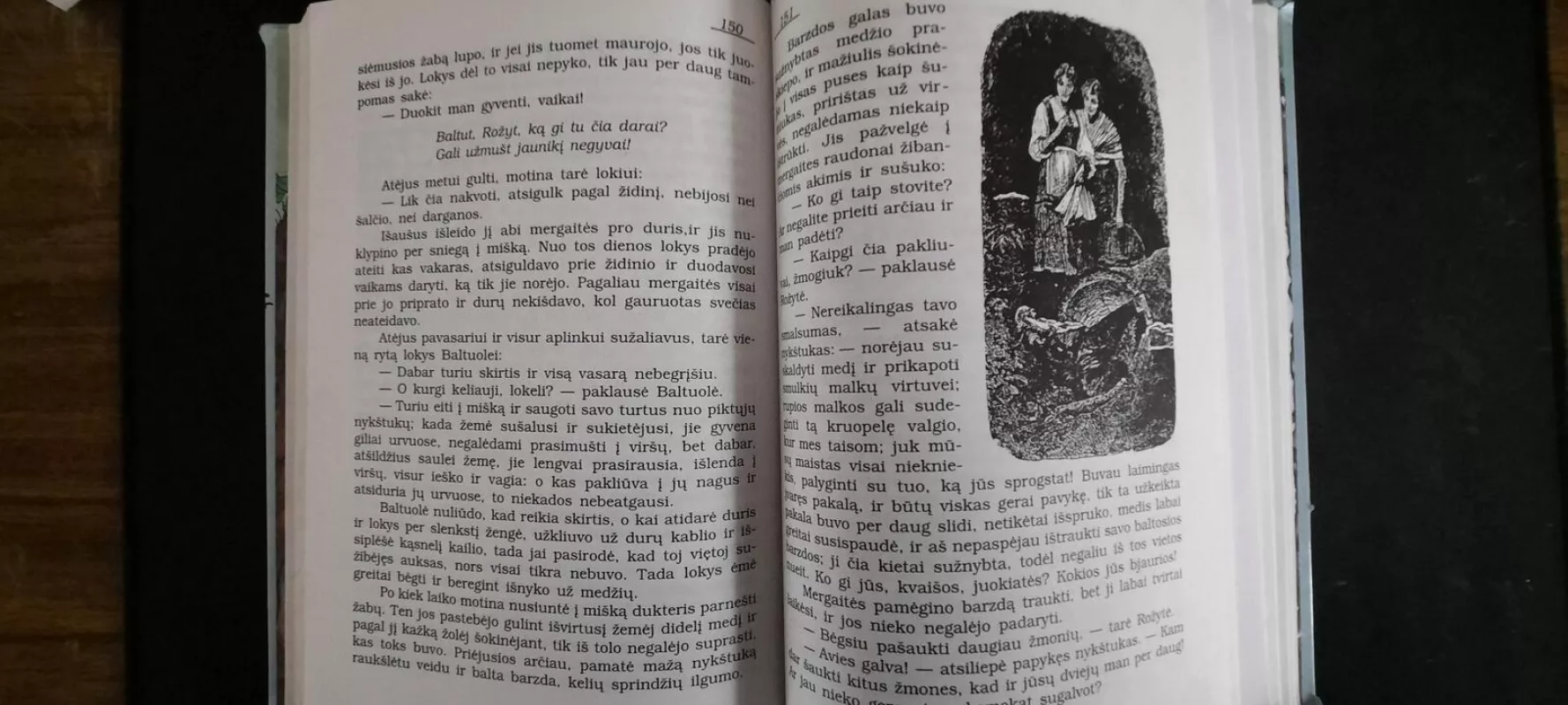 Gražiausios Brolių Grimų pasakos - Autorių Kolektyvas, knyga 4