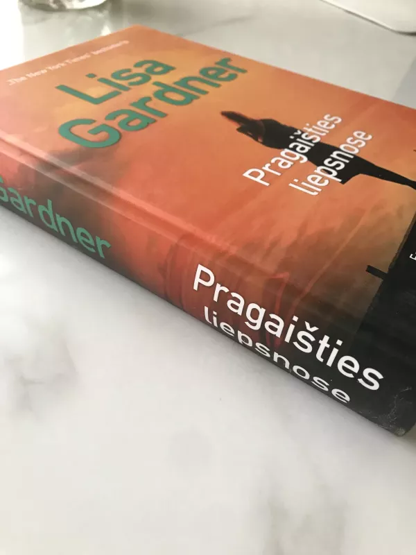 Pragaišties liepsnose - Lisa Gardner, knyga 3