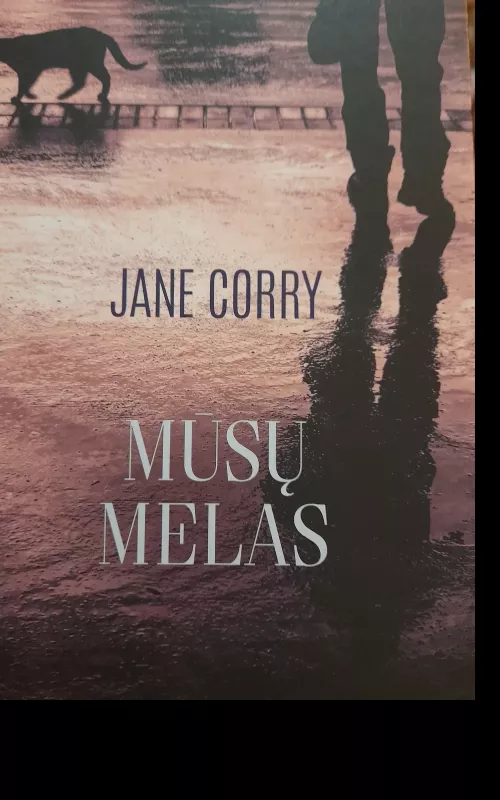 Mūsų melas - Jane Corry, knyga 2