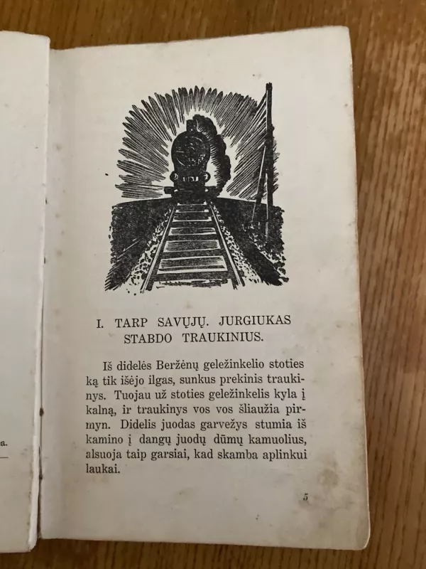 Juodojo milžino žmonės - Kazys Janonis, knyga 4