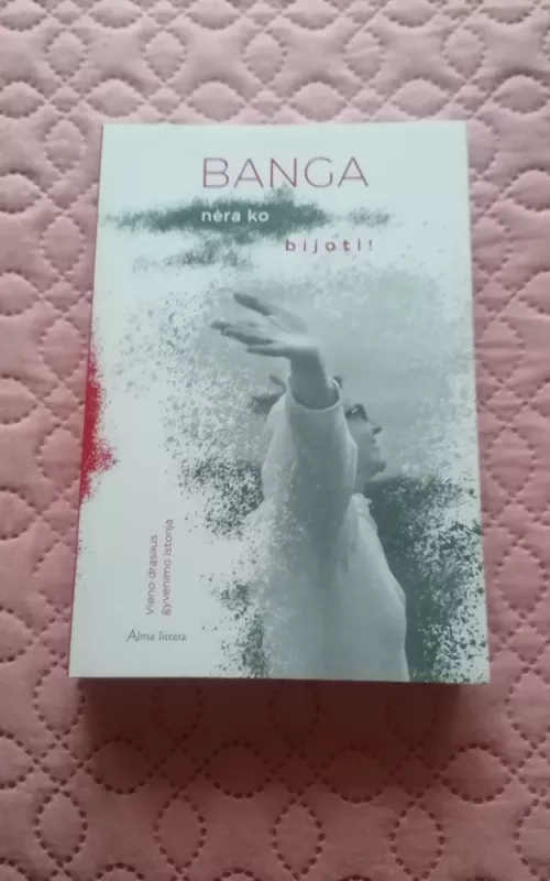 Banga. Nėra ko bijoti - Agnė Žemaitytė, knyga 2