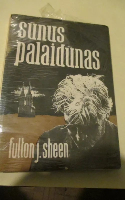 Sūnus palaidūnas - Fulton Sheen, knyga 2