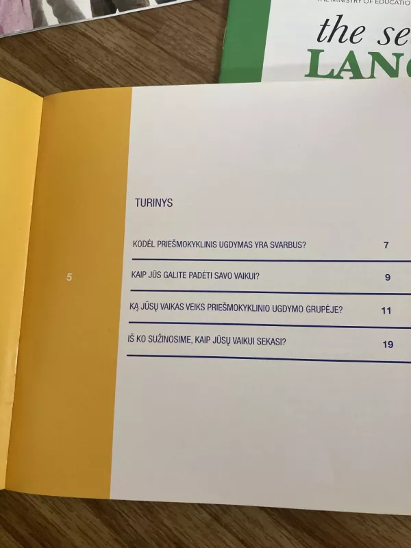 Pedagogams ir tėvams apie 5-6 metų vaikų raidos ir ugdymo ypatumus - Autorių grupė, knyga 6