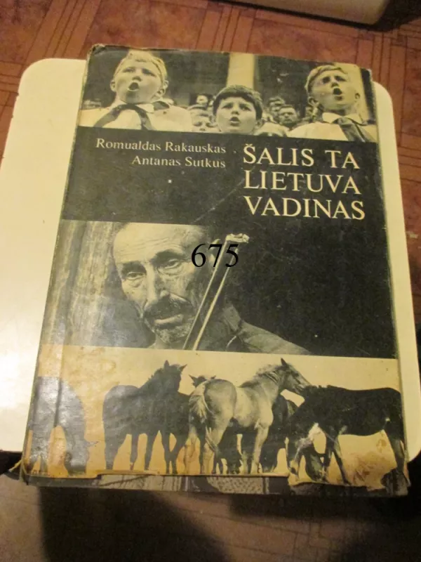 Šalis ta Lietuva vadinas - R. Razauskas, knyga 2