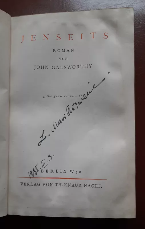 Jenseits - John Galsworthy, knyga 2