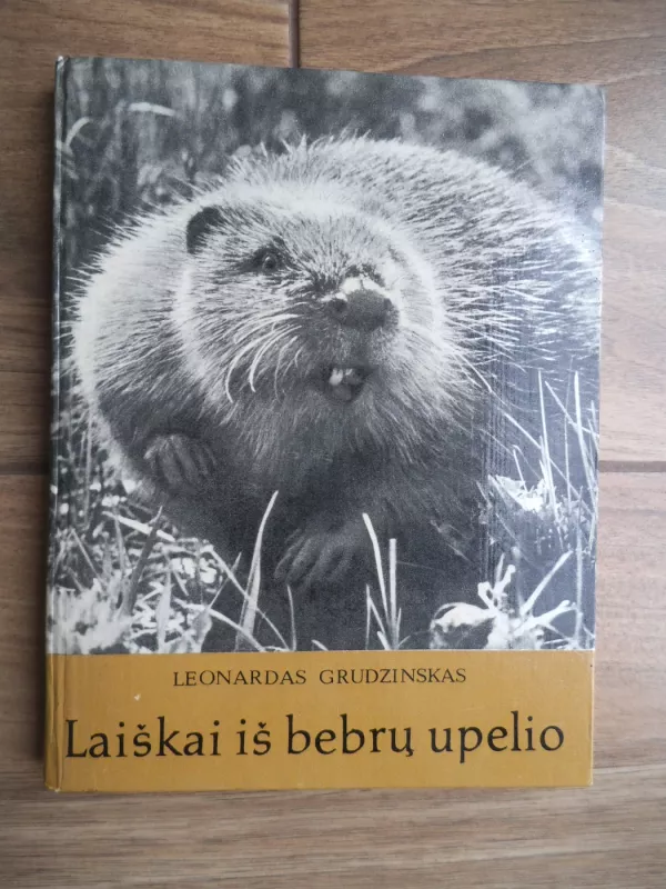 Laiškai iš bebrų upelio - Leonardas Grudzinskas, knyga 2