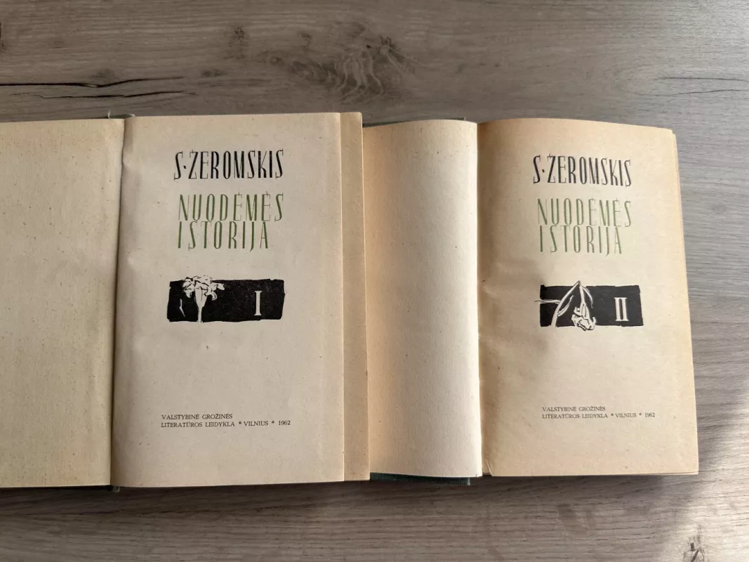 Nuodėmės istorija (2 tomai) - Stefanas Žeromskis, knyga 3