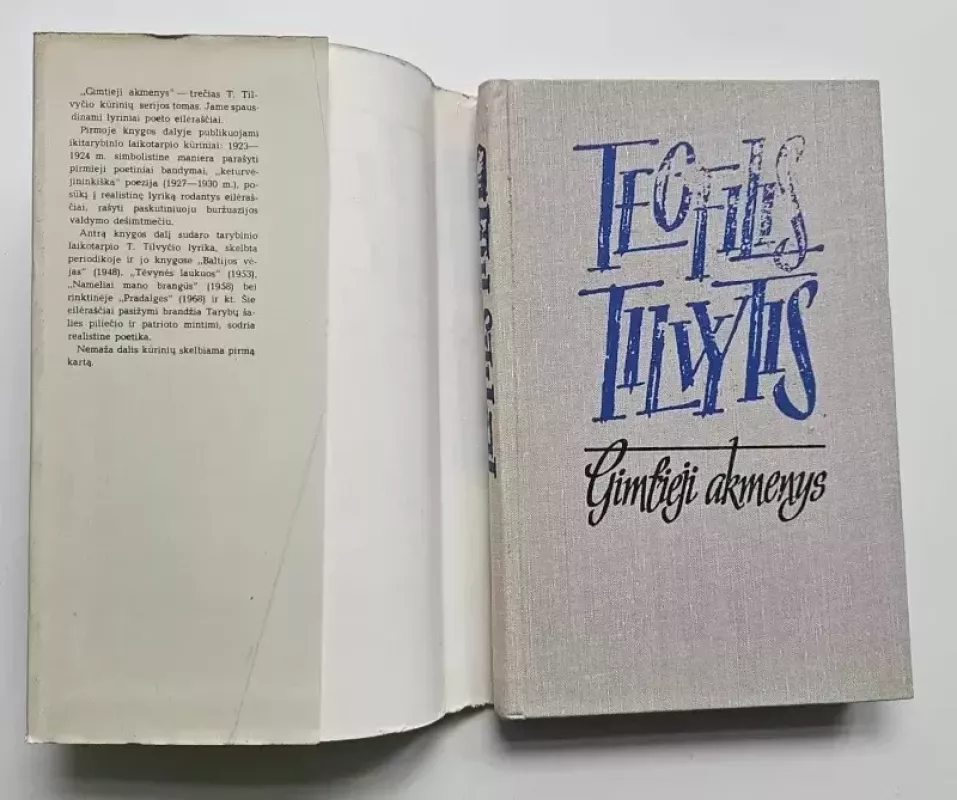 Gimtieji akmenys - Teofilis Tilvytis, knyga 3