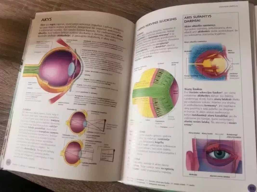 Iliustruotas biologijos žinynas - Corinne Stockley, knyga 6