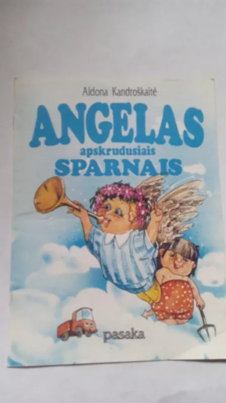 Angelas apskrudusiais sparnais - Aldona Kandroškaitė, knyga 2