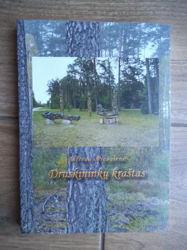 Druskininkų kraštas, 3 dalis - Alfreda Pigagienė, knyga 2