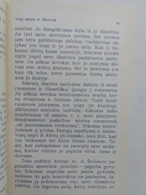 Būstas prie Nemuno - Kornelijus Platelis, knyga 6