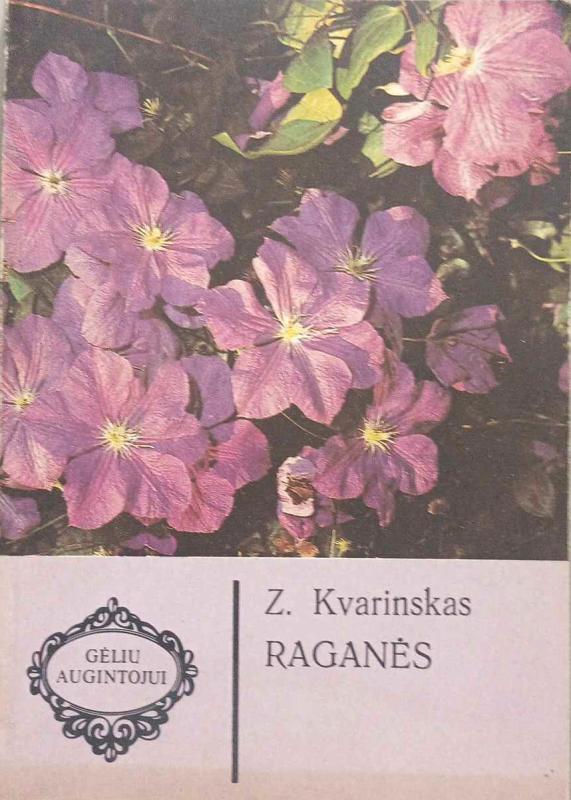 Raganės - Z. Kvarinskas, knyga 2