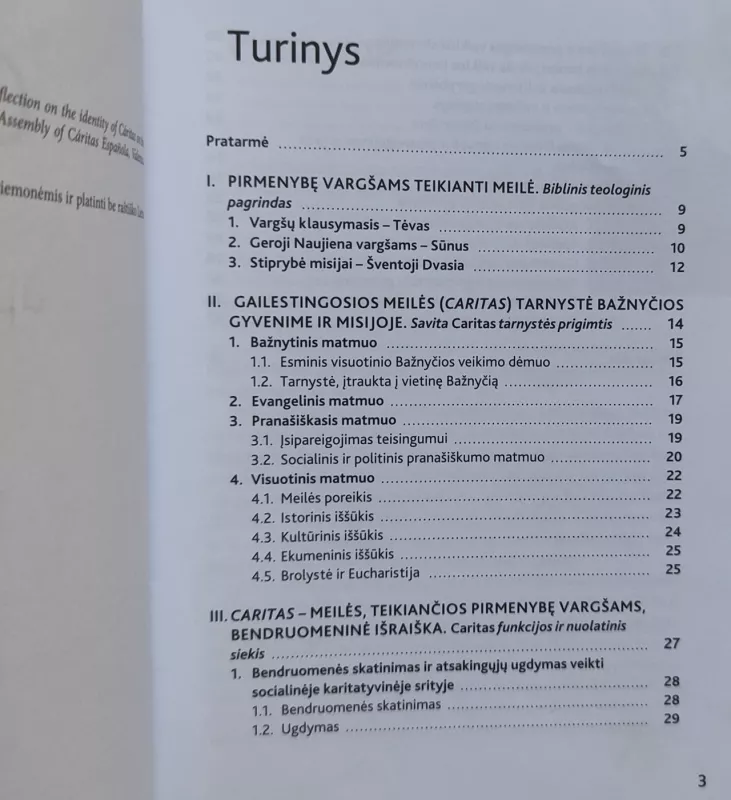 Caritas Tapatybės apmąstymai - Grupė autorių, knyga 3