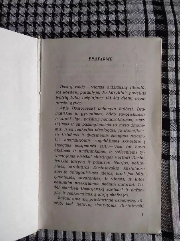 Dostojevskis - Elena Červinskienė, knyga 3