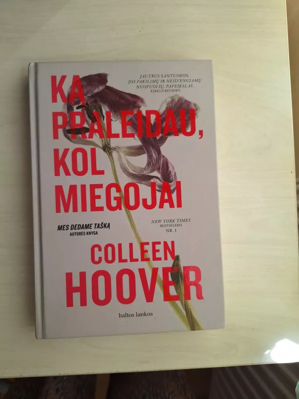 Ką praleidau, kol miegojai - Colleen Hoover, knyga 2