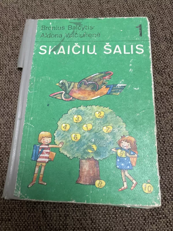 Skaičių šalis - Bronius Balčytis, Aldona Vaičiulienė, knyga 2