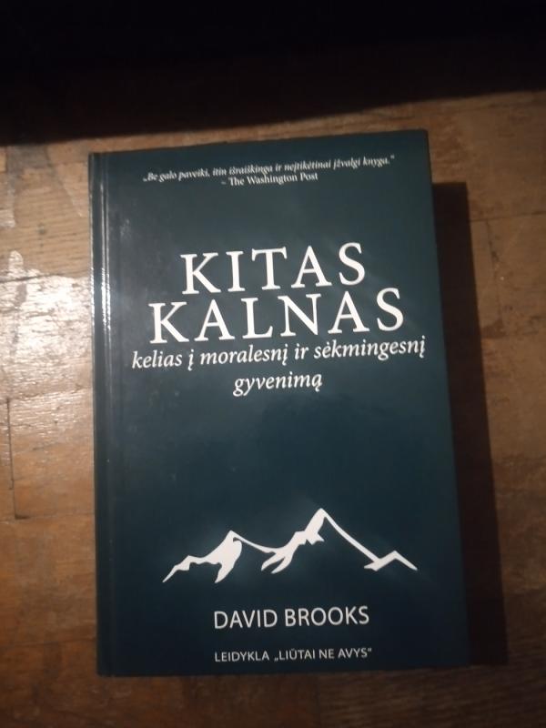 Kitas kalnas. Kelias į moralesnį ir sėkmingesnį gyvenimą - David Brooks, knyga 2