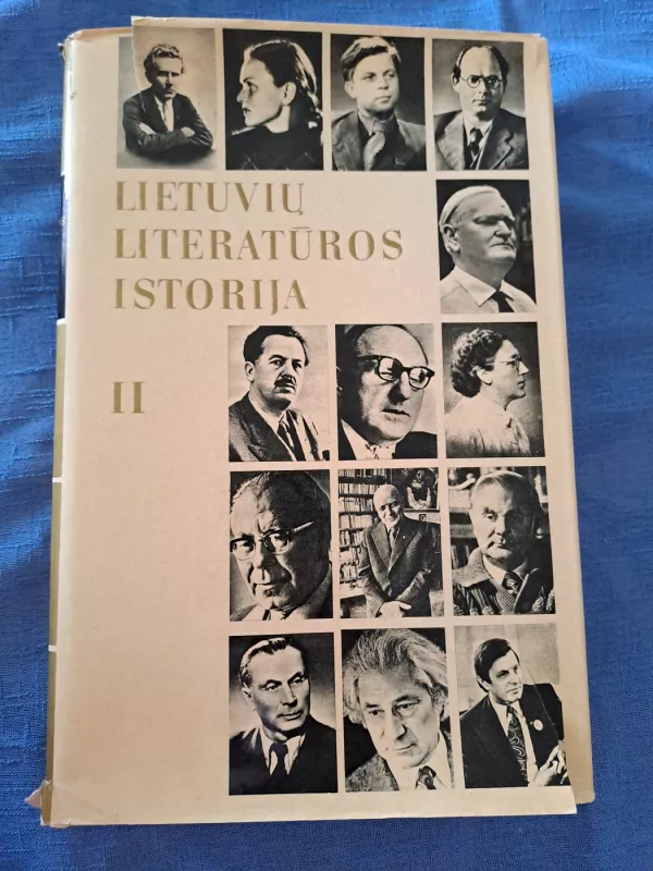 Lietuvių literatūros istorija (2 dalis) - Jonas Lankutis, knyga 2