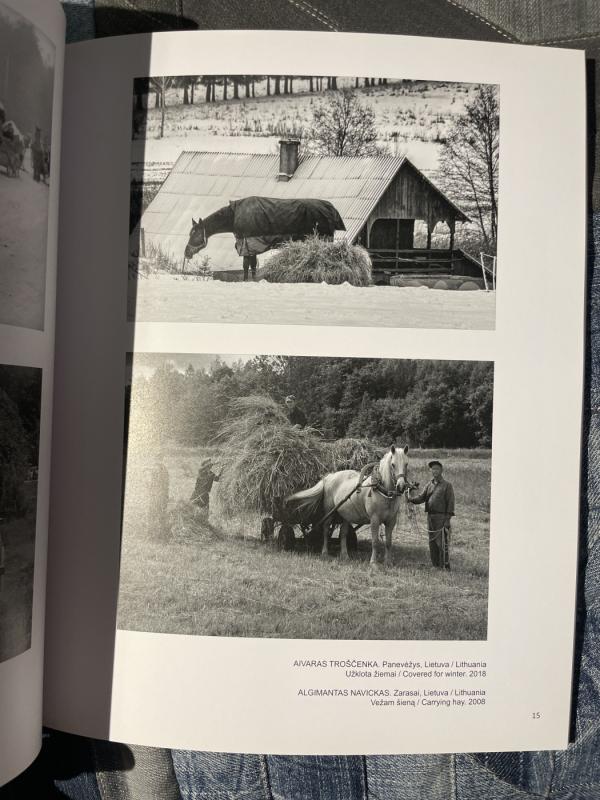 Žirgas fotografijoje - Autorių Kolektyvas, knyga 4