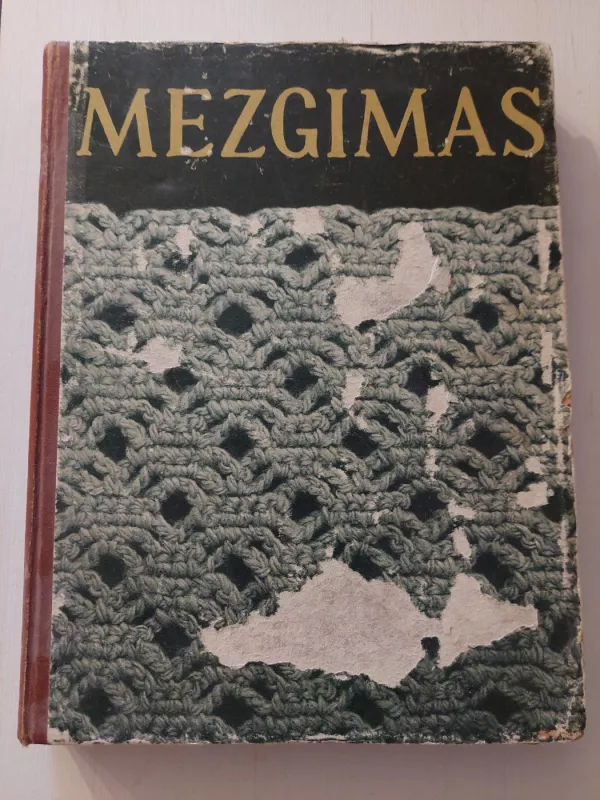 Mezgimas - K. Žirgulienė, knyga 2