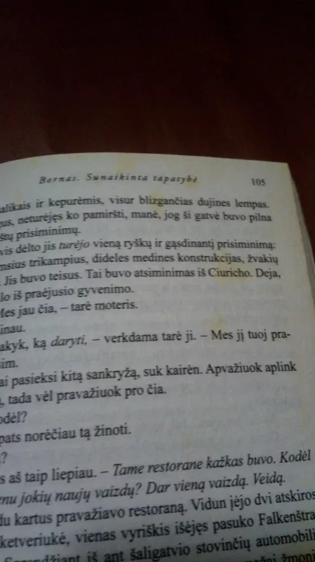 Bornas. Sunaikinta tapatybė - Robert Ludlum, knyga 4