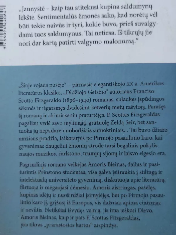 Šioje rojaus pusėje - Francis Scott Fitzgerald, knyga 3