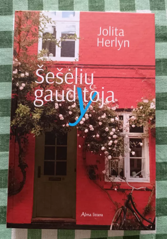 Šešėlių gaudytoja - Herlyn Jolita, knyga 2