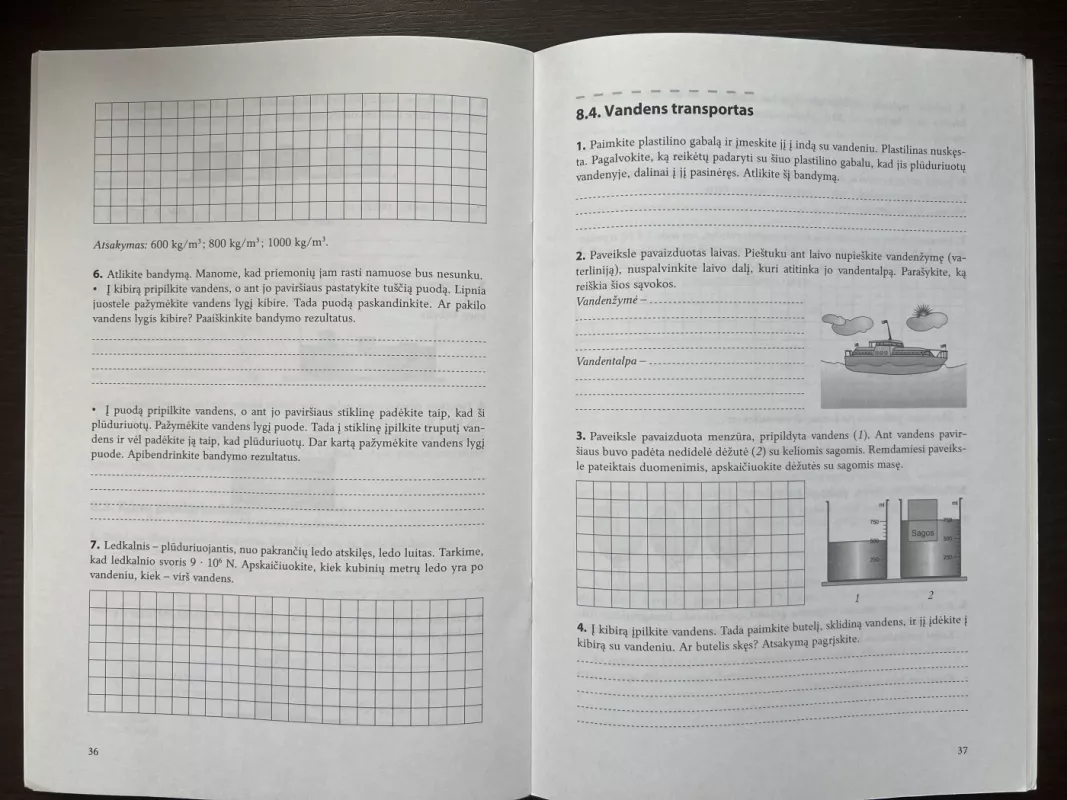 Fizika. Pratybos 8 klasei, 2-asis sąsiuvinis - Palmira Pečiuliauskienė, knyga 4