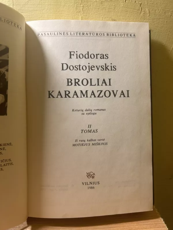 Broliai Karamazovai (2 knygos) - Fiodoras Dostojevskis, knyga 5