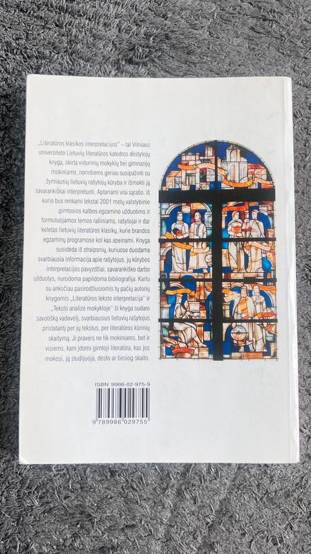 Literatūros klasikos interpretacijos - Giedrius Viliūnas, knyga 3