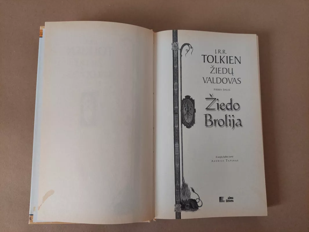 Žiedų valdovas: Žiedo brolija (I dalis) - J. R. R. Tolkien, knyga 3