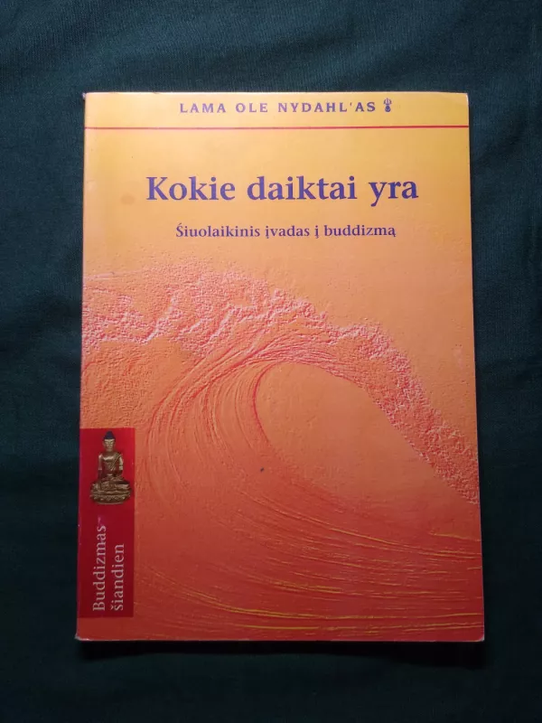 Kokie daiktai yra. Šiuolaikinis įvadas į budizmą - Lama Ole Nydahl, knyga 2