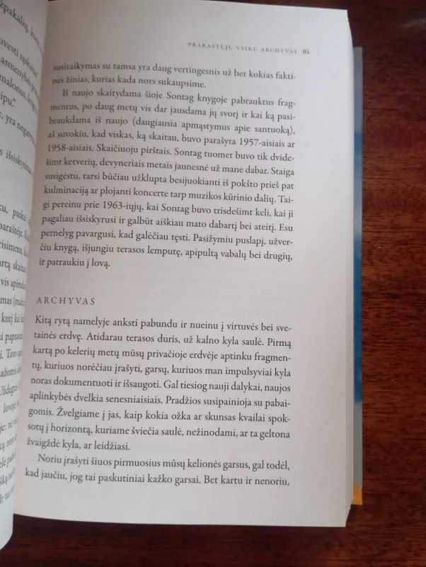 Prarastųjų vaikų archyvas - Valeria Luiselli, knyga 3