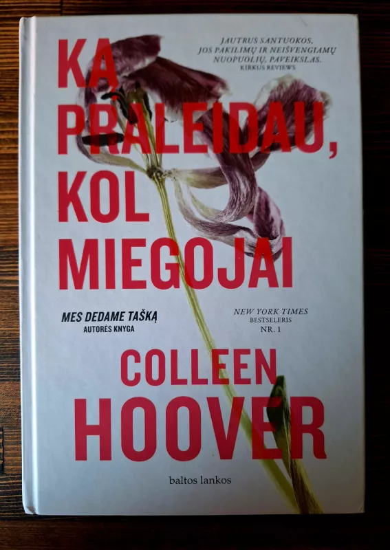 Ką praleidau, kol miegojai - Colleen Hoover, knyga 2