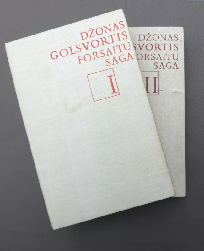 Forsaitų saga (2 tomai) - Džonas Golsvortis, knyga 2