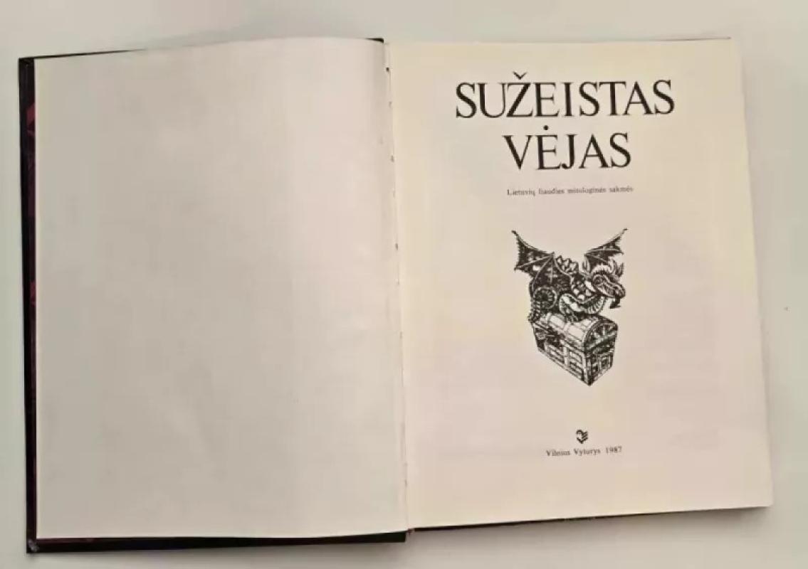 Sužeistas vėjas - Norbertas Vėlius, knyga 4