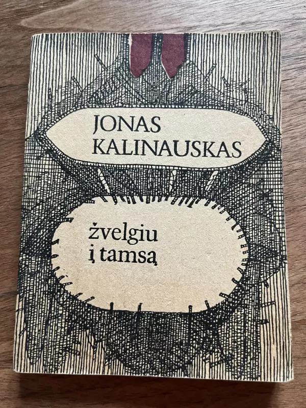 Žvelgiu į tamsą - Jonas Kalinauskas, knyga 2