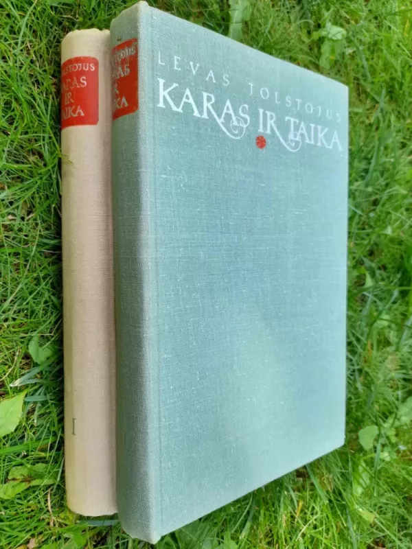 Karas ir taika (II tomas) - Levas Tolstojus, knyga 4