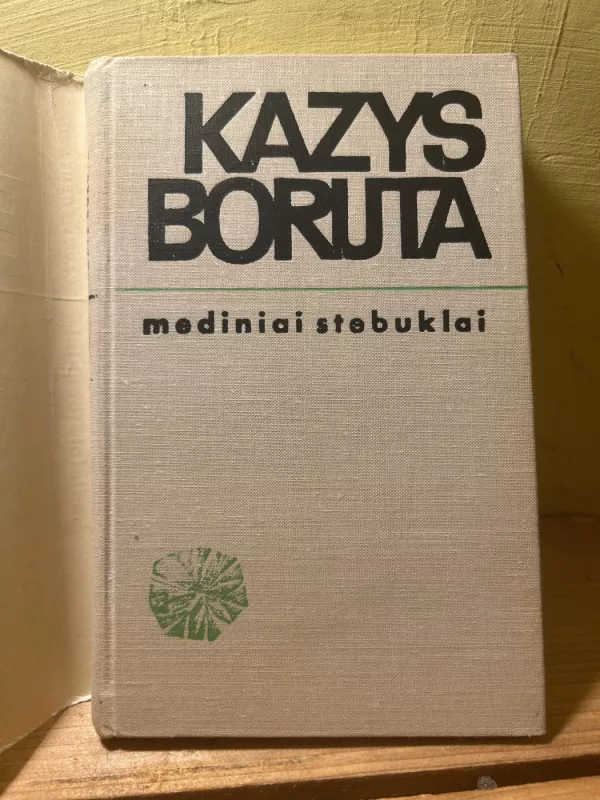 Mediniai stebuklai - Kazys Boruta, knyga 4