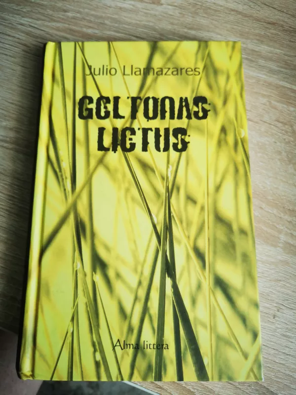 Geltonas lietus - Julio Llamazares, knyga 2