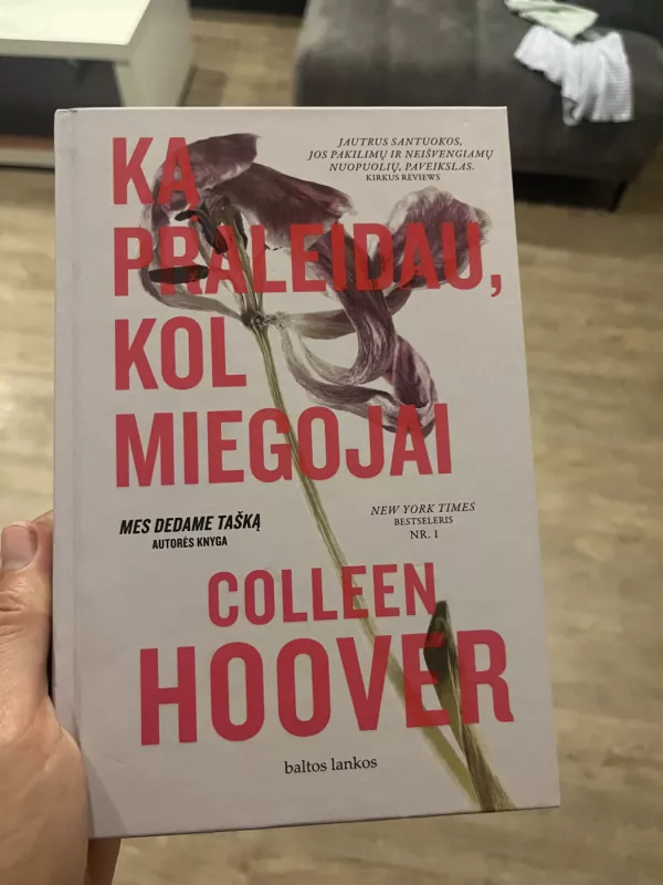 Ką praleidau, kol miegojai - Colleen Hoover, knyga 2