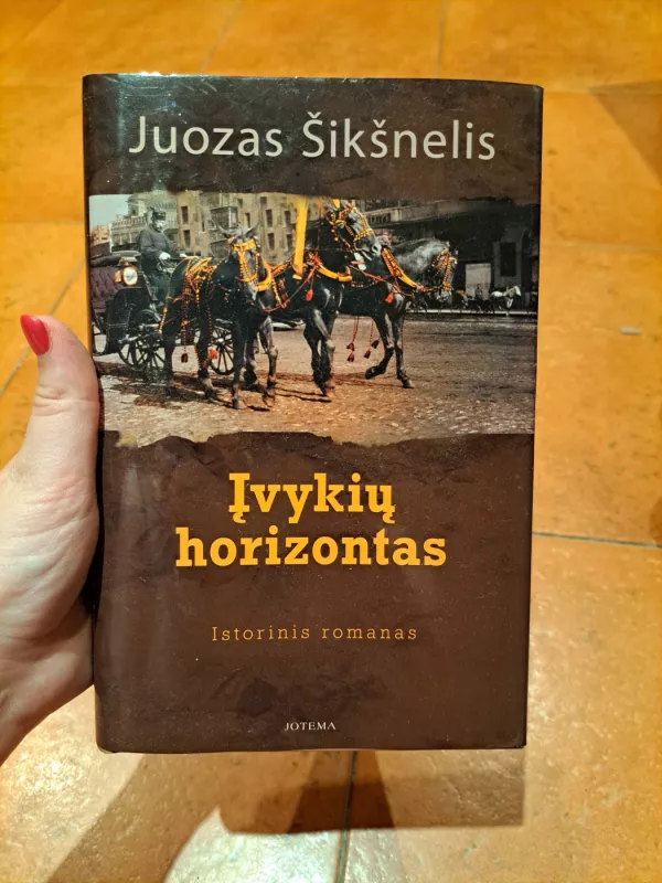 Įvykių horizontas - Juozas Šikšnelis, knyga 2