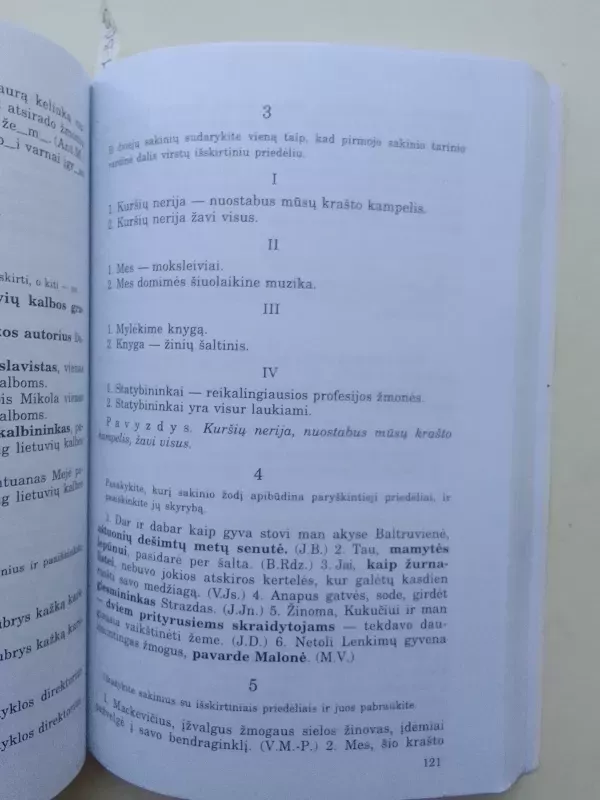 Lietuvių kalbos rašybos ir skyrybos pratimai X-XII klasei - Bronius Dobrovolskis, knyga 6