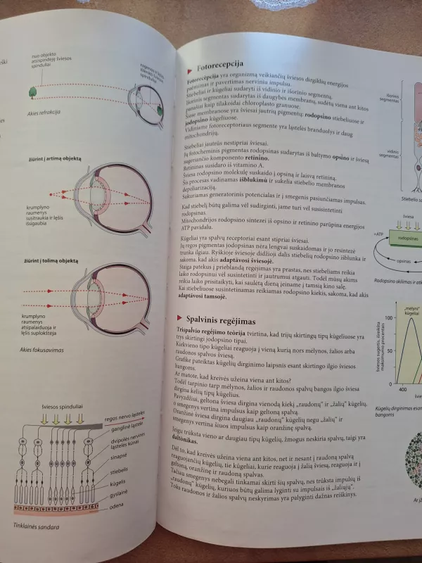 Biologija tau 11-12 klasei. 2 dalis - Gareth Williams, knyga 5