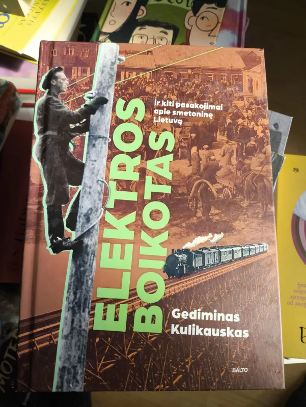 Elektros boikotas - Gediminas Kulikauskas, knyga 3